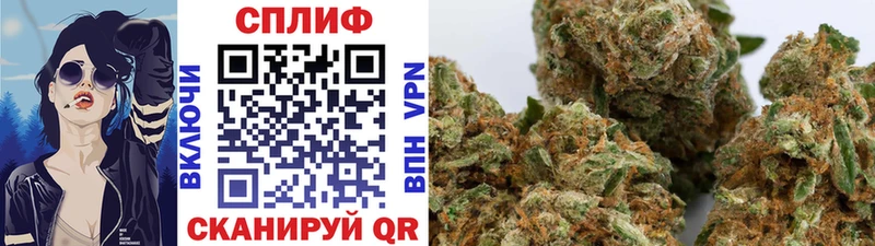 Наркошоп купить КОКАИН  АМФЕТАМИН  Меф  A-PVP  ГАШИШ  Конопля  Долгопрудный