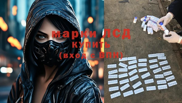 стаф Осташков