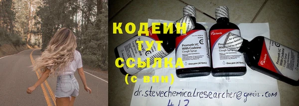 стаф Осташков