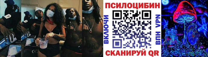 Купить  Долгопрудный  Псилоцибиновые грибы прущие грибы 