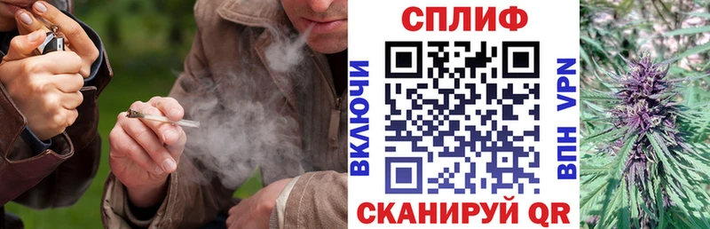 Шишки марихуана Bruce Banner  Купить где  Долгопрудный 